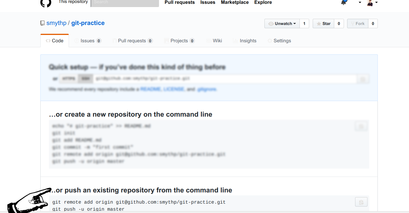 The commands you need to copy from the new repo page on GitHub
