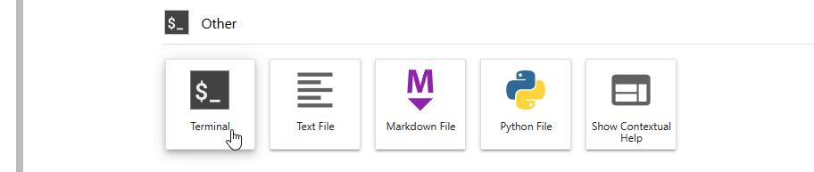 finding the terminal button in the Launcher tab in JupyterLab