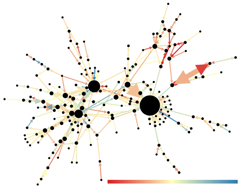 Network visualisation incorporating sentiment analysis